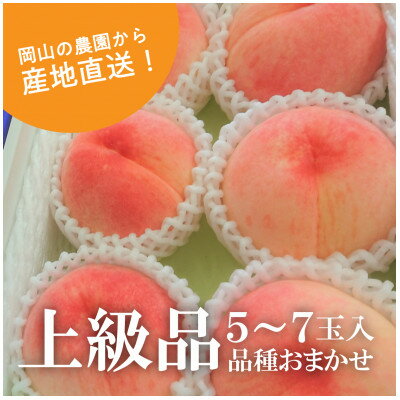 【ふるさと納税】岡山県産 果樹園から産地直送!旬採り桃 上級