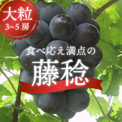 【ふるさと納税】岡山県産 きよとう自慢のボッケーネ(藤稔)大粒で食べ応え満点! 3-5房入/計2.0kg～【配送不可地域：離島】【1403055】 1