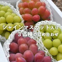 26位! 口コミ数「0件」評価「0」岡山県産 果樹園のおすすめ葡萄3品種(シャインマスカット入り)上級品 大房3-5房入/計2.4kg～【配送不可地域：離島】【1448583】