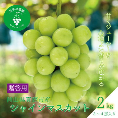 【ふるさと納税】岡山 花笑み農園の『シャインマスカット』贈答用 約2kg(3~4房) S-2【9月下旬~順次発送】【配送不可地域:離島】【1491570】