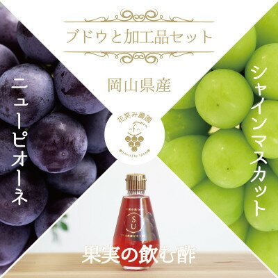 岡山 花笑み農園のブドウと加工品セット『ニューピオーネ&シャインマスカット&飲む酢ピオーネ』PS-N[配送不可地域:離島]