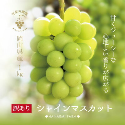 [岡山県産]花笑み農園の 『訳ありシャインマスカット』1kg WS-1[9月中旬〜順次発送][配送不可地域:離島]