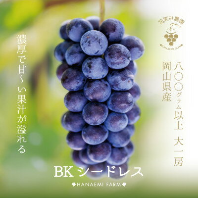 17位! 口コミ数「0件」評価「0」【岡山県産】花笑み農園の『BKシードレス』800g以上(大1房)　B-大1【9月中旬～順次発送】【配送不可地域：離島】【1491603】