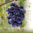 【ふるさと納税】【岡山県産】花笑み農園の『オーロラブラック』約2kg(3～4房)　A-2【9月上旬～順次発送】【配送不可地域：離島】【1491700】