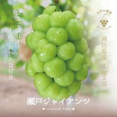 【ふるさと納税】【岡山県産】花笑み農園の『瀬戸ジャイアンツ』1kg(2房)　G-1【9月下旬～順次発送】...