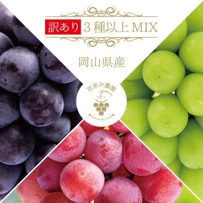 [岡山県産]花笑み農園のブドウ『訳あり3種以上MIX』 1kg W3M-1[9月中旬〜順次発送][配送不可地域:離島]