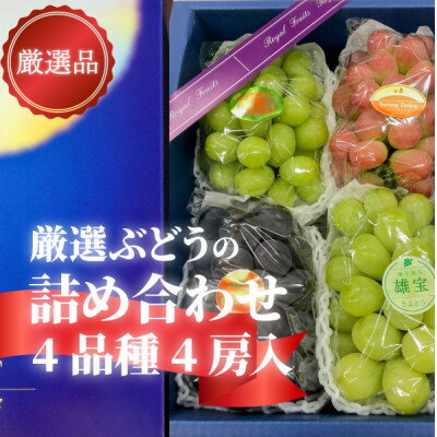 楽天ふるさと納税　【ふるさと納税】岡山県産【厳選品】ぶどう4品種4房リズムボックス【配送不可地域：離島】【1495345】