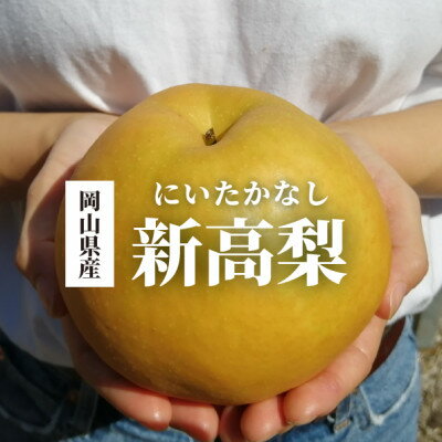 岡山県産 ジューシーで美味しい、新高梨 ご家庭用 3-6玉入