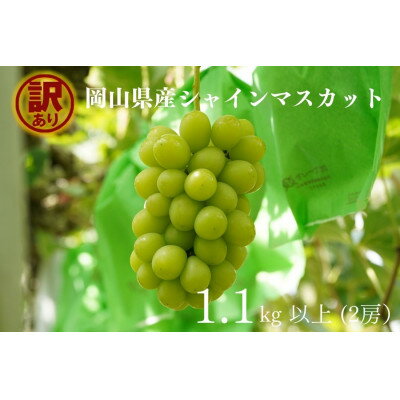 【2024年先行予約】岡山県産　訳ありシャインマスカット　計1.1kg以上　2房　産直・朝採れ【1495893】