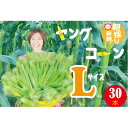 【ふるさと納税】ヤングコーン 生 5つ星ホテルご用達 レストランサイズ L 30本 8-12cm 皮つき【配送不可地域:離島・北海道・沖縄県・東北・関東・信越、...