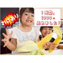 【ふるさと納税】1時間で1000本以上が売れる 甘い【わけあり】とうもろこし20本【配送不可地域:離島・北海道・沖縄県・東北・関東・信越、北陸・東海・九州】【1...