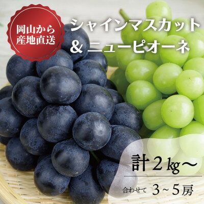 【ふるさと納税】【きよとうファーム】シャインマスカット&ピオーネ 3-5房入/計2kg~(岡山県産)【配送不可地域:離島】【1517731】