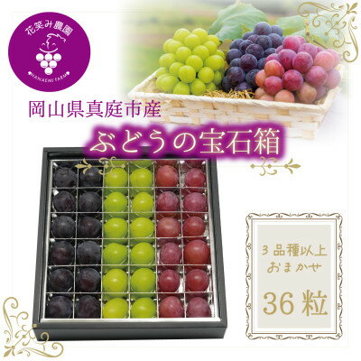 【ふるさと納税】岡山 花笑み農園『ブドウの宝石箱』3種以上(36粒入り) 3M-宝36【9月中旬~発送】【配送不可地域:離島】【1596635】