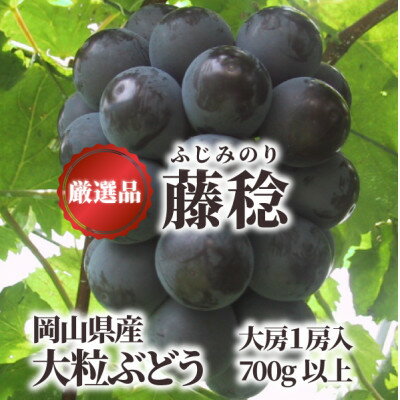 【ふるさと納税】【きよとうファーム】大粒葡萄の藤稔 大サイズ1房 厳選品/1房700g以上 (岡山県産)【配送不可地域:離島】【1602785】