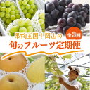 【ふるさと納税】【発送月固定定期便】旬の味覚を楽しむ定期便!ピオーネ&シャインマスカット&梨(岡山県産)全3回【配送不可地域:離島】【4066246】