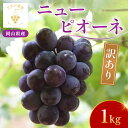 【ふるさと納税】岡山 花笑み農園の 『訳ありニューピオーネ』1kg WP-1【9月上旬〜順次発送】_ ぶどう 葡萄 ブドウ フルーツ 果物 くだもの ピオーネ ...