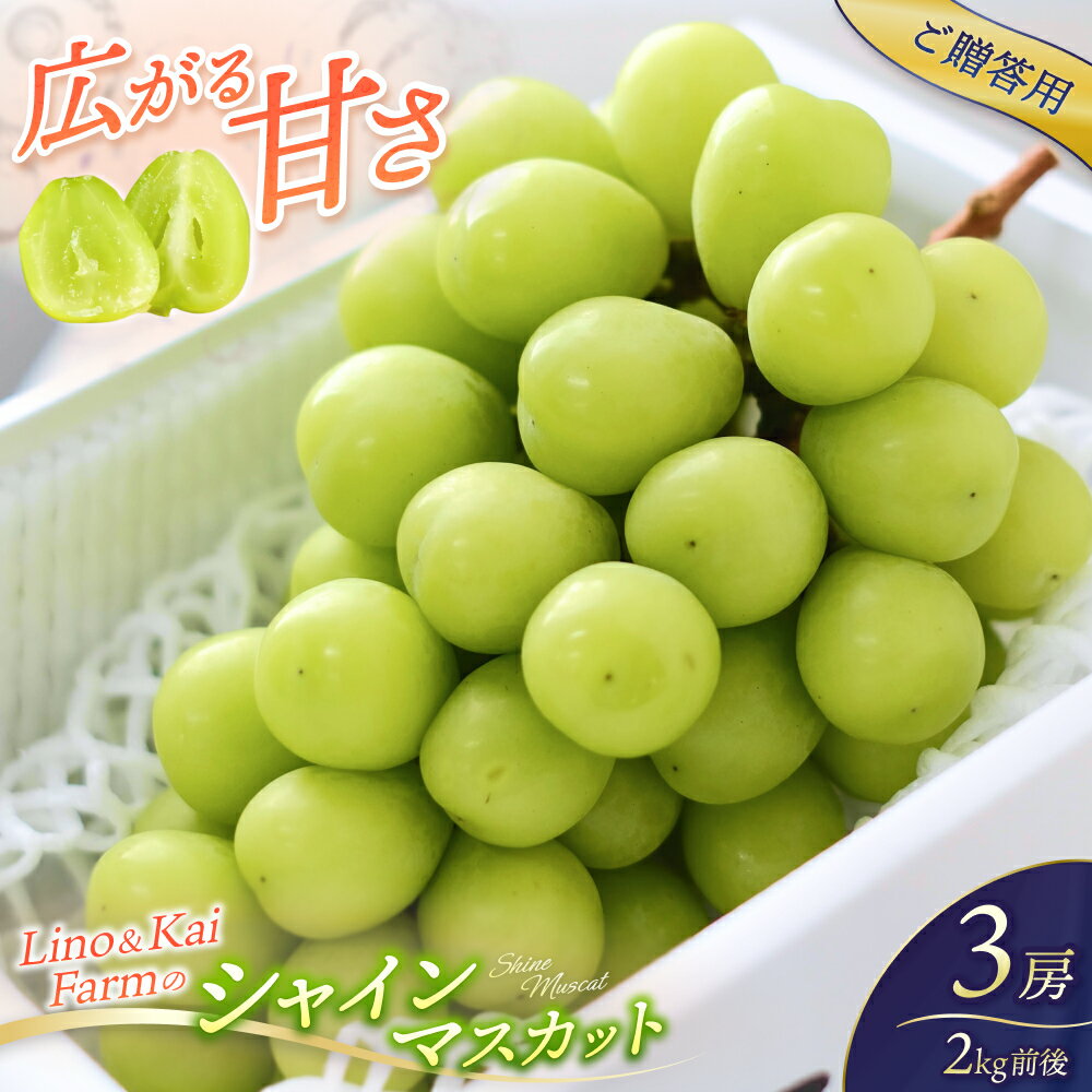 【ふるさと納税】 【ご贈答用】シャインマスカット3房前後(2kg前後 化粧箱入) Lino＆Kai Farm 2025年10月上旬〜順次発送 / ぶどう 岡山 真庭 マスカット 高級 ギフト 贈答 人気 産地直送 数量限定 種なし 某産直サイトで連続受賞【linokai001】