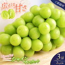【ふるさと納税】 【ご家庭用】 シャインマスカット3房前後(2kg程度) 化粧箱入 Lino&Kai Farm 2025年10月上旬〜順次発送 / ぶどう 岡山 真庭 マスカット 人気 産地直送 数量限定 種なし 某産直サイトで連続受賞【linokai002】