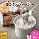 【ふるさと納税】 【ジェラート醍醐桜】 <熨斗有>恋するジャージーチョコチップ 6個セット / 岡山 真庭 醍醐桜 極上スイーツ 濃厚 プレゼント 贈答 デザート ギフト ジャージー牛 ミルク ジェラート おやつ チョコレート 冷凍 人気 贅沢 【配送不可:離島】