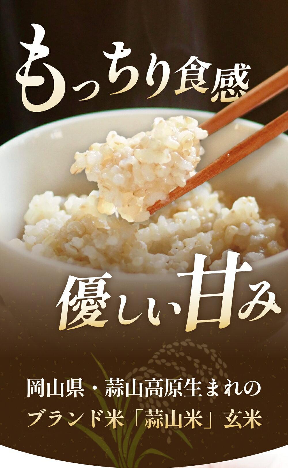 岡山県真庭市の画像2