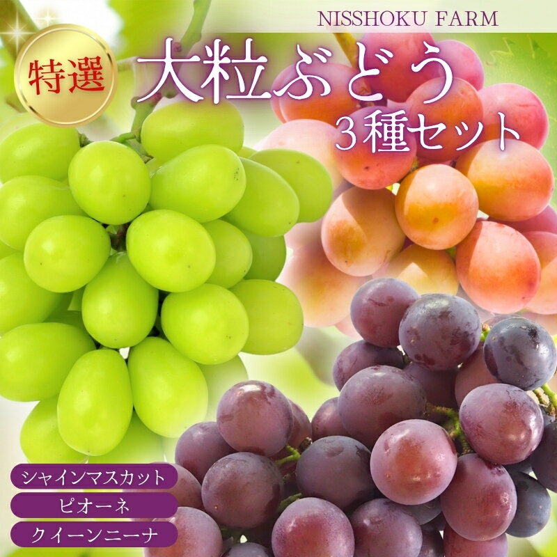 NISSHOKU FARM 特選 大粒ぶどう3種セット(シャインマスカット入り)岡山 [2025年9月下旬〜12月順次発送]/ ぶどう ブドウ 葡萄 シャインマスカット ピオーネ クイーンニーナ フルーツ 果物 特選 大粒サイズ 真庭市