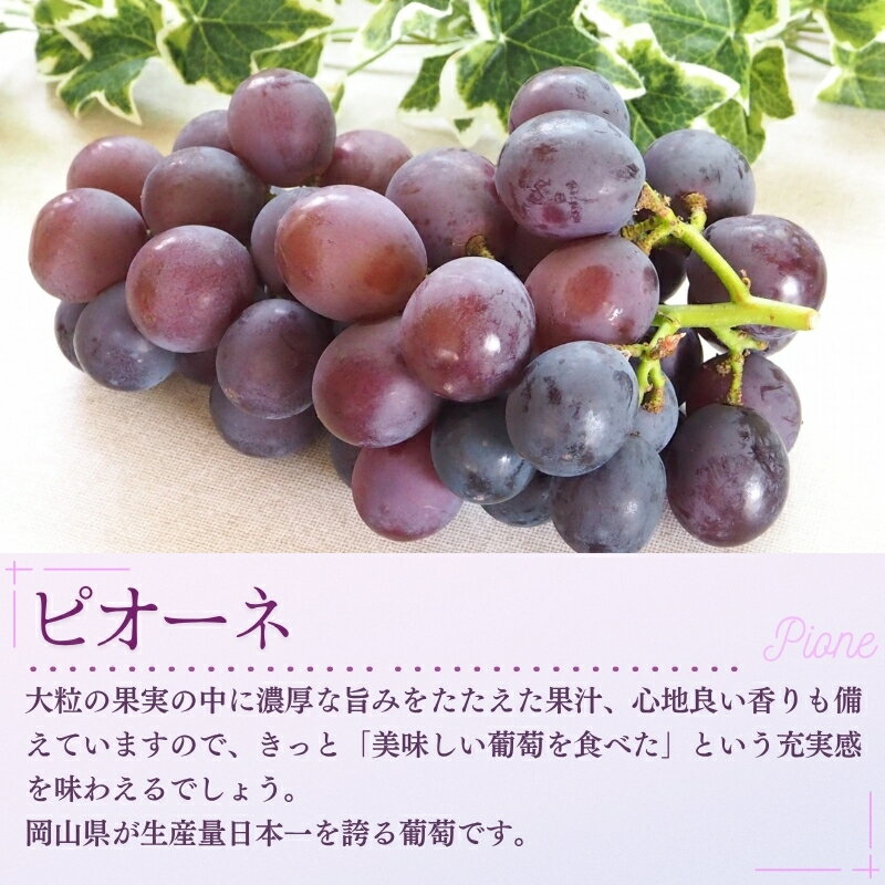 岡山県真庭市の画像2