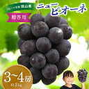 31位! 口コミ数「1件」評価「5」 ぶどう 岡山 花笑み農園の『ニューピオーネ』約2kg( 3~4房) P-2 hana06-2 2025年9月上旬~受付順に発送予定 贈答用 岡山 真庭 ピオーネ 高級 2kg 贈答 2025 真庭市・・・