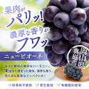 岡山県真庭市の画像3