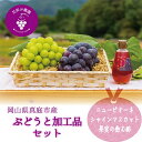 【ふるさと納税】 岡山 花笑み農園の『ピオーネ&シャインマスカット&飲む酢ピオーネ』ブドウと加工品セット PS-N hana10-2【 2025年9月下旬〜順次...