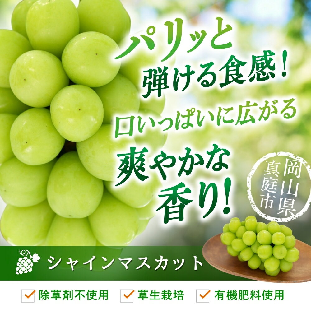 岡山県真庭市の画像3