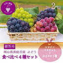 【ふるさと納税】 岡山 花笑み農園のブドウ『食べ比べ4種セット』シャインマスカット入り 2kg(4房) 4M-2 hana19-1【2025年9月中旬〜順次発送...