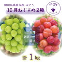 【ふるさと納税】 岡山 花笑み農園のブドウ『10月おすすめ 2種セット』(2房)2M-1L hana20【2025年10月〜順次発送】【配送不可地域:離島】真庭...
