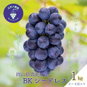 【ふるさと納税】 岡山 花笑み農園の『BKシードレス』1kg(2~3房) B-1 hana27-1 【2025年9月中旬~順次発送】【配送不可地域:離島】真庭 国産 産地直送 フルーツ 葡萄 ぶどう ブドウ 果物 贈答 ギフト 濃厚 ジューシー 種なし 甘い 子ども おすすめ 【1491612】