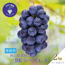 【ふるさと納税】 岡山 花笑み農園のブドウ『BKシードレス』家庭用2kg(3~6房) B-2家 hana29-1 【2025年9月中旬〜順次発送】【配送不可地域:離島】 真庭 国産 産地直送 フルーツ 葡萄 ぶどう 果物 たくさん 濃厚 ジューシー 種なし 子ども おすすめ 人気 【1394368】(4)