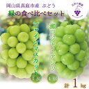 【ふるさと納税】 岡山 花笑み農園の『シャインマスカット&瀬戸ジャイアンツ』1kg(2房) GS-1 hana46【2025年9月下旬〜順次発送】【配送不可地域...