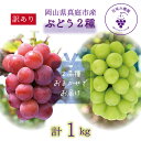 【ふるさと納税】 岡山 花笑み農園の『訳あり2種MIX』ブドウ1kg W2M-1 hana49【2025年9月中旬~順次発送】【配送不可地域:離島】 ぶどう 葡萄 真庭 国産 産地直送 シャインマスカット ピオーネ オーロラブラック 瀬戸ジャイアンツ 食べ比べ 人気 数量限定 果物【1492078】