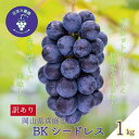 【ふるさと納税】 岡山 花笑み農園の『訳ありBKシードレス』1kg WB-1 hana62【2025年9月中旬~順次発送】真庭 国産 産地直送 フルーツ 葡萄 ぶどう ブドウ 果物 濃厚 ジューシー 種なし 甘い 子ども 先行予約 数量限定 規格外 お得人気【配送不可地域:離島】【1596619】