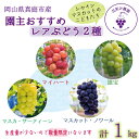 【ふるさと納税】 岡山 花笑み農園『園主おすすめレアぶどう2種セット』〜シャインの子供たち〜 2M-1R hana64【2025年9月中下旬〜順次発送】マスカッ...