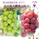 【ふるさと納税】 岡山 花笑み農園の『シャインマスカット&クイーンニーナ』1kg(2房)QS-1 hana66【2025年9月中旬〜順次発送】真庭 国産 産地直...