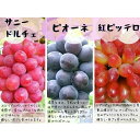 岡山県真庭市の画像3