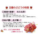 岡山県真庭市の画像3