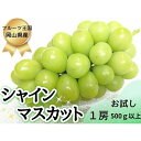 【ふるさと納税】 【お試し】フルーツ王国岡山シャインマスカット500g以上! 朝採れぶどう1房 【2025年9月上旬~発送予定】離島配送不可 / ぶどう ブドウ 葡萄 先行予約 果物 真庭市 シャインマスカット 果物 フルーツ 新鮮 当日出荷 家庭用 ぶどう専門 林ファミリー 真庭市
