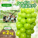 【ふるさと納税】 【 訳あり 】岡山県産 林ファミリー の シャインマスカット 約2kg(約3~5房) 【2025年先行予約】 / 葡萄 ぶどう ブドウ マスカット 果物 フルーツ 新鮮 当日出荷 お試し お買い得 家庭用 ぶどう専門 岡山 真庭市