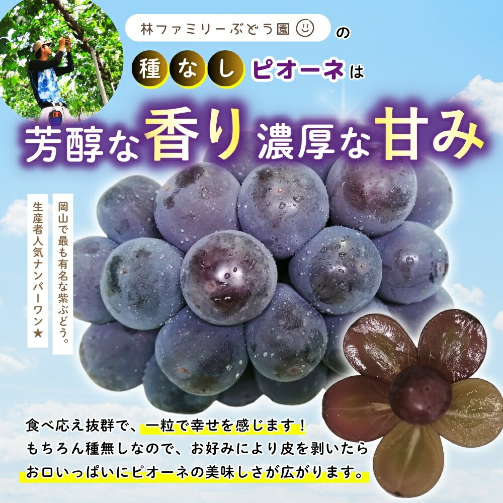 岡山県真庭市の画像3