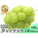 商品画像1