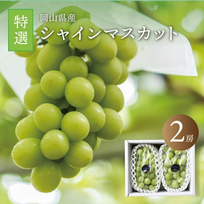 【ふるさと納税】真庭市産 シャインマスカット 特選 大房 2房 / 【2025年9月中旬以降発送予定】 数量限定 ぶどう 贈答用 岡山 真庭 葡萄 ブドウ 果物 フルーツ ギフト 産地直送 新鮮 マスカット 人気 厳選 種なし 【配送不可地域：北海道・沖縄県・離島】【shine02】のサムネイル