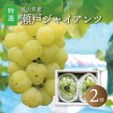 【ふるさと納税】真庭市産 瀬戸ジャイアンツ 特選大房 2房 / 【2025年9月中旬以降発送予定】 数量限定 ぶどう 贈答用 岡山 真庭 葡萄 ブドウ 果物 フ...