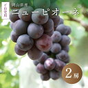 【ふるさと納税】 真庭市産 ニューピオーネ ご自宅用 2房 / 【2025年8月中旬以降発送予定】 数量限定 ぶどう お手頃 訳あり 岡山 真庭 ピオーネ 葡萄 ブドウ 果物 フルーツ 濃厚 ピオーネ 人気 数量限定 種なし スイーツ【配送不可地域:北海道・沖縄県・離島】【pione04】