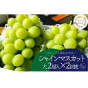 【ふるさと納税】【発送月固定定期便】【きよとうファーム】シャインマスカット大2房の満足便!/全便計2.6kg~全2回【配送不可地域:離島】【4066234】【KF-T044-02】