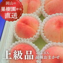 【ふるさと納税】【きよとうファーム】旬採り桃の上級品5-7玉入(岡山県産)【7月以降順次発送予定】【配送不可地域:離島】 もも 桃 モモ 先行予約 フルーツ 果物 真庭市 フルーツ王国 きよとう果樹園 岡山【KF-A002-02】